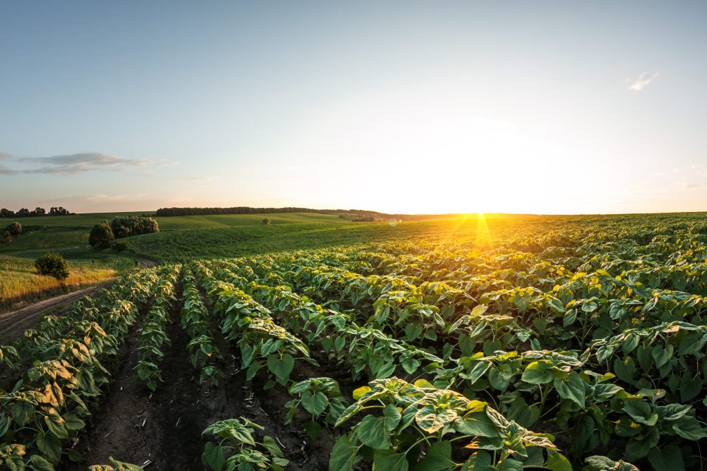 Arieli Capital launching 2nd cohort of START Agri-Tech Scale-Up Program in Utah with 11 cutting-edge ventures